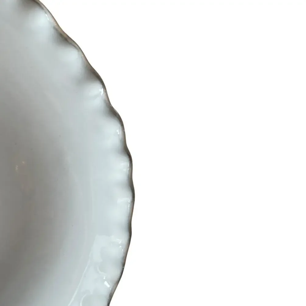 Nosse with Fortessa Stone Dinner Plates 11in Light Gray Set of 4 Portugal NEW